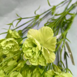 Гвоздика кустовая — фото 3