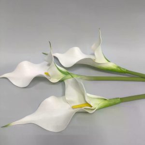 Калла — фото 3