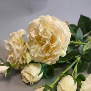 Роза кустовая — фото 1
