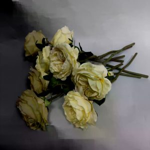 Роза кустовая — фото 3