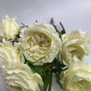 Роза кустовая — фото 4