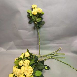 Роза кустовая — фото 3