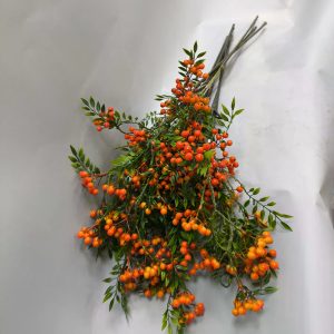 Ветка рябины — фото 2