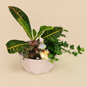 Композиция из горшечных растений №3 — фото 1