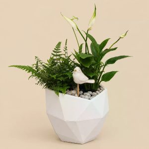 Композиция из горшечных растений №4 — фото 3