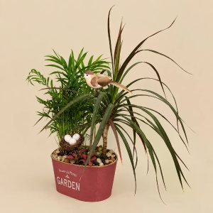 Композиция из горшечных растений №7 — фото 3